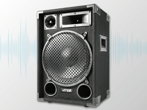 Large black professional speaker cabinet with prominent circular woofer, metal grille, and rectangular design typical of PA or sound reinforcement systems.