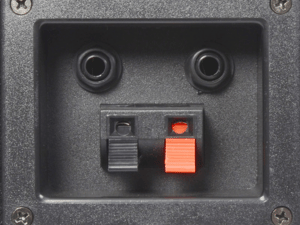 Close-up of black speaker terminal plate with two circular connectors and two toggle switches in black and red.