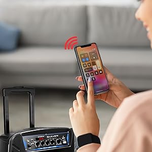 pa speaker system